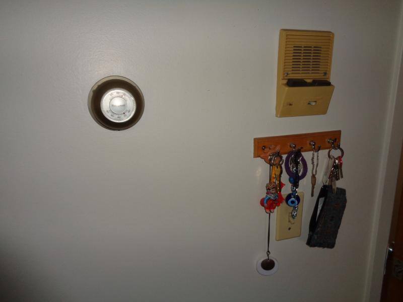 House for rent at 43 White St E, Belmont, MA 02478