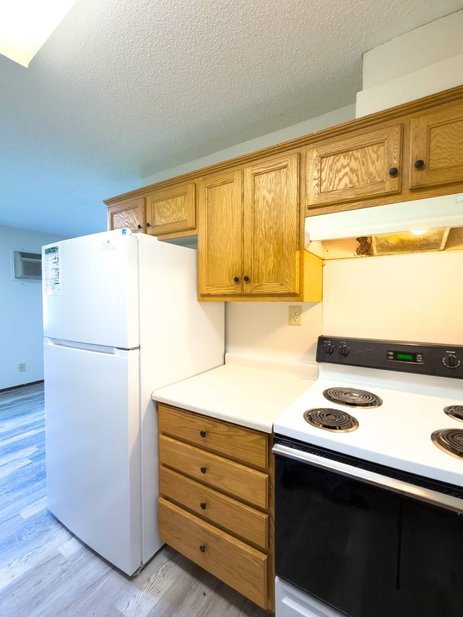 Apartment for rent at 365 Baldwin Ave NW, Elk River, MN 55330