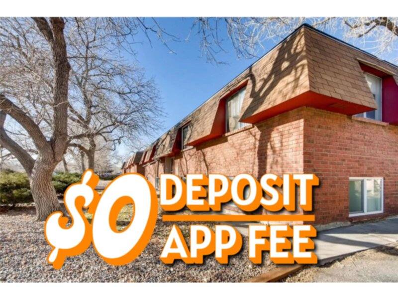 Apartment for rent at 290 S Hoyt St #4, Denver, CO 80226