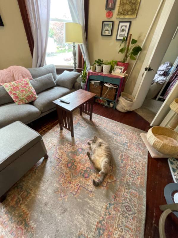 Apartment for rent at 1425 Allison St #C, Washington, DC 20011
