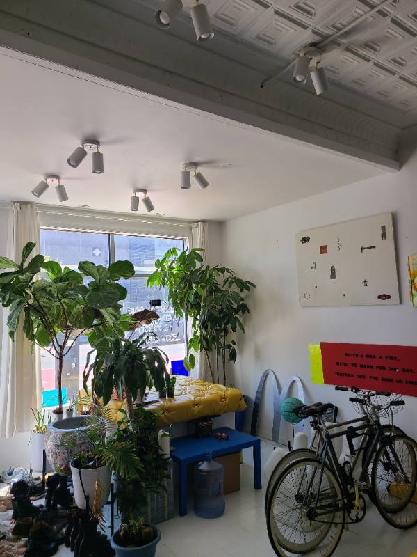 House for rent at 2024 W Chicago Ave #1F, Chicago, IL 60622