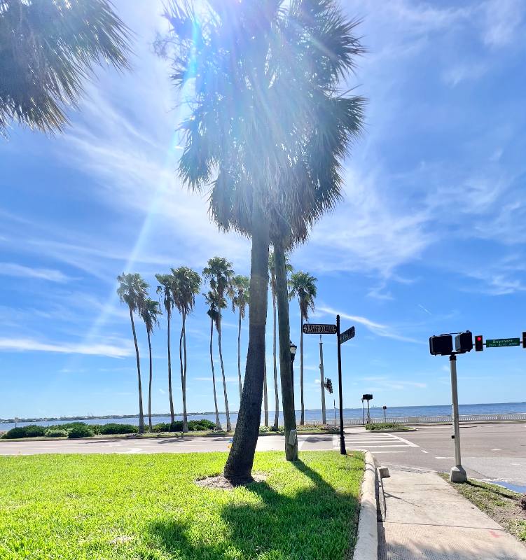 Apartment for rent at 2109 Bayshore Blvd #506, Tampa, FL 33606