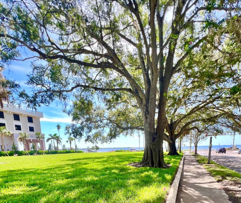 Apartment for rent at 2109 Bayshore Blvd #506, Tampa, FL 33606