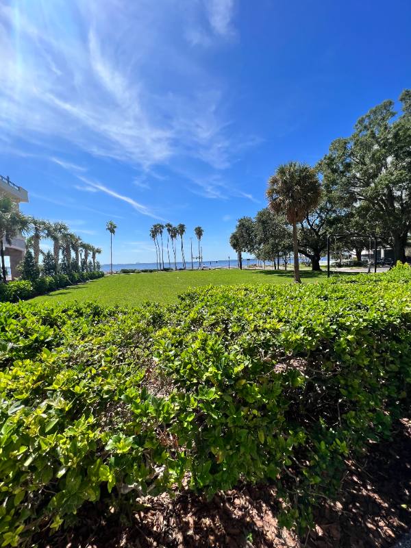 Apartment for rent at 2109 Bayshore Blvd #506, Tampa, FL 33606