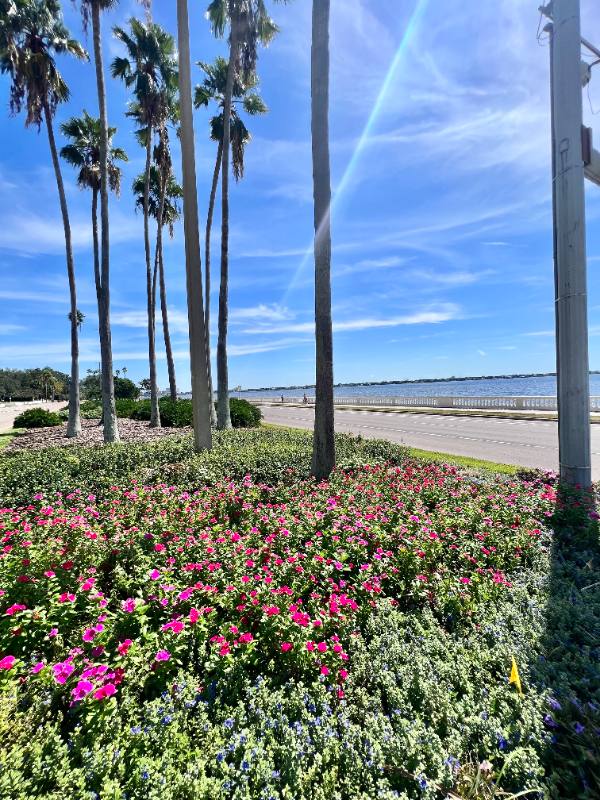 Apartment for rent at 2109 Bayshore Blvd #506, Tampa, FL 33606
