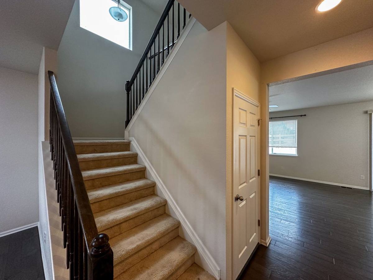 House for rent at 3405 Scaup Trail, Castle Rock, CO 80104