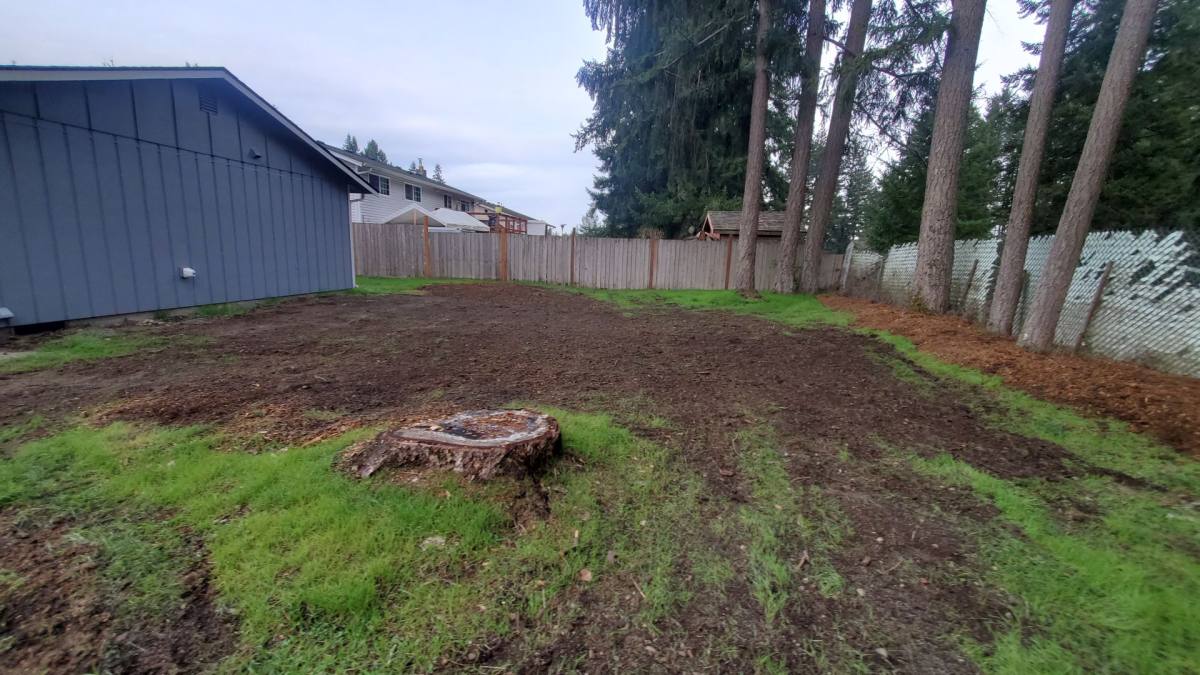 House for rent at 15417 25th Ave E, Tacoma, WA 98445