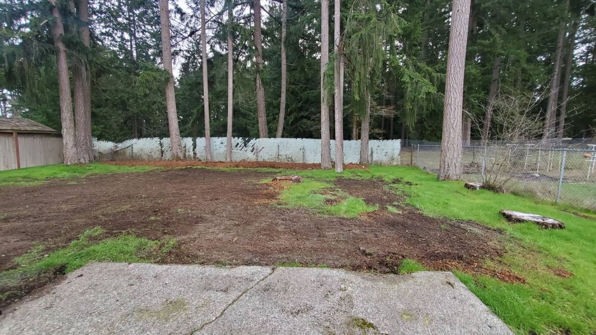 House for rent at 15417 25th Ave E, Tacoma, WA 98445
