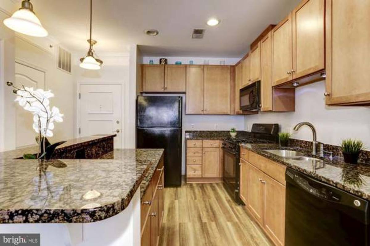 Apartment for rent at 1451 Belmont St NW, Washington, DC 20009