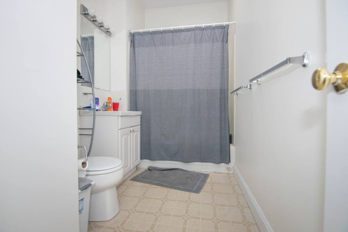 House for rent at 11 Glencoe St, Brighton, MA 02135