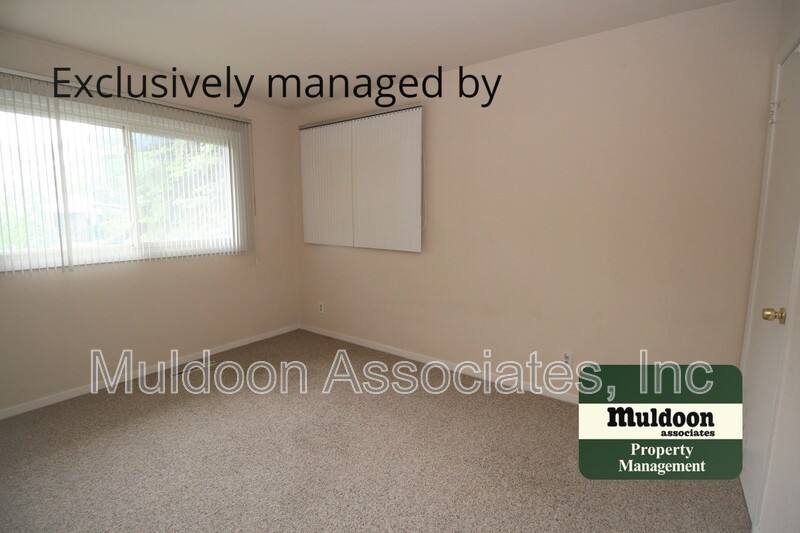 House for rent at 3026 Drakestone Dr, Colorado Springs, CO 80909