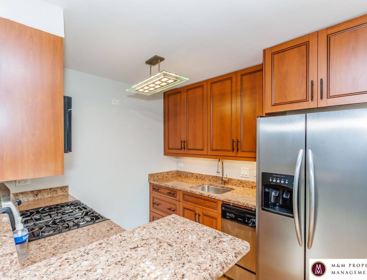 Apartment for rent at 900 S Taylor Ave, Oak Park, IL 60304