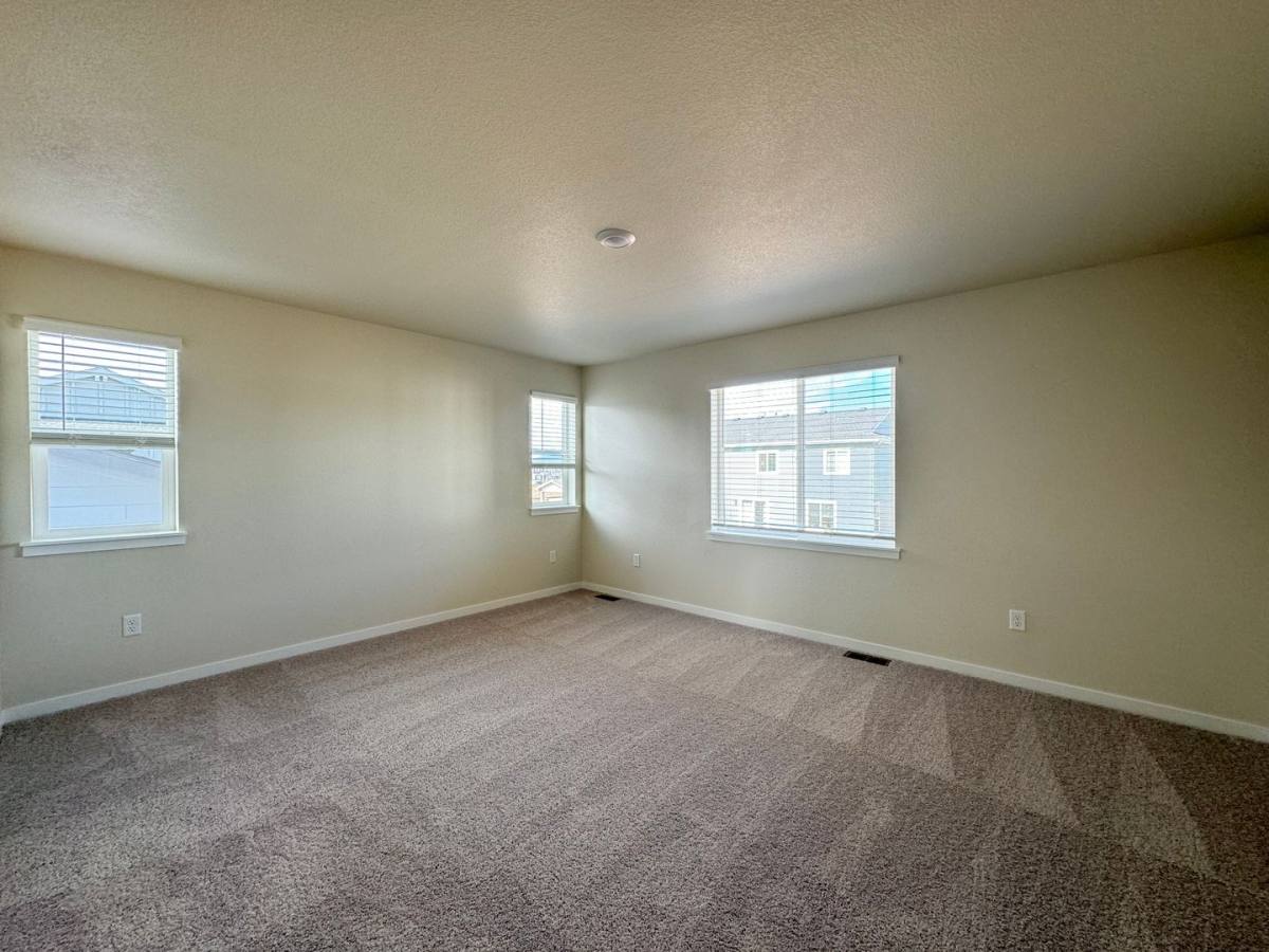 House for rent at 4455 Trader St, Timnath, CO 80547