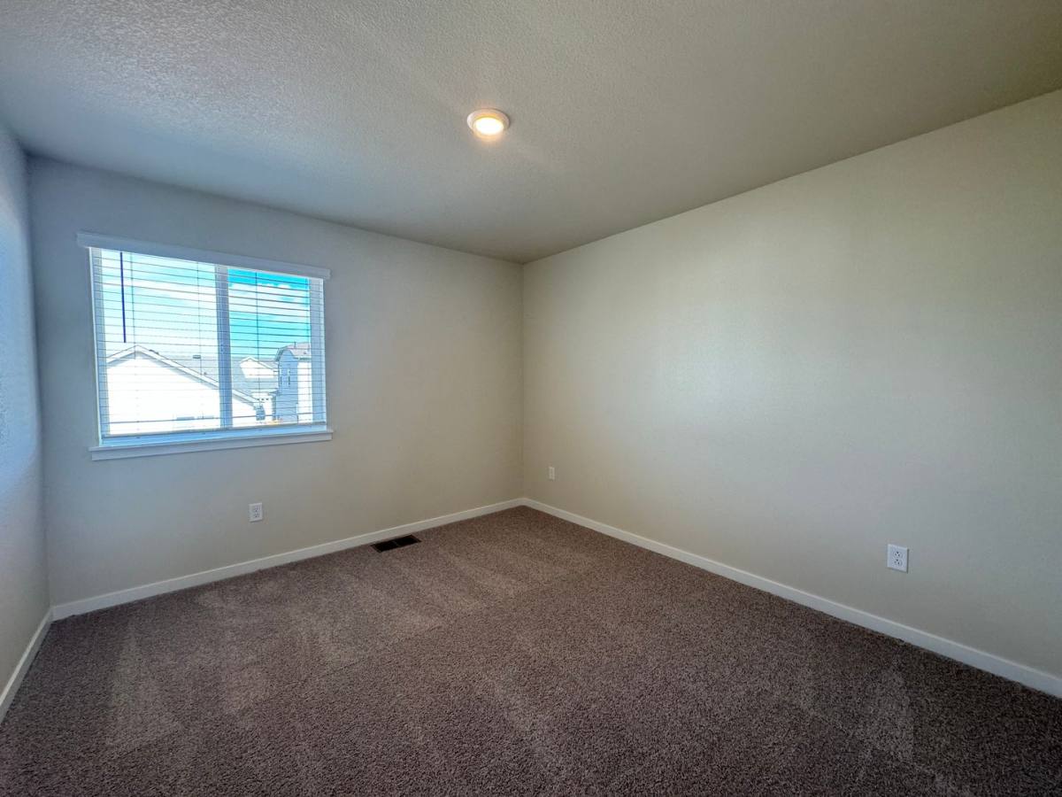 House for rent at 4455 Trader St, Timnath, CO 80547
