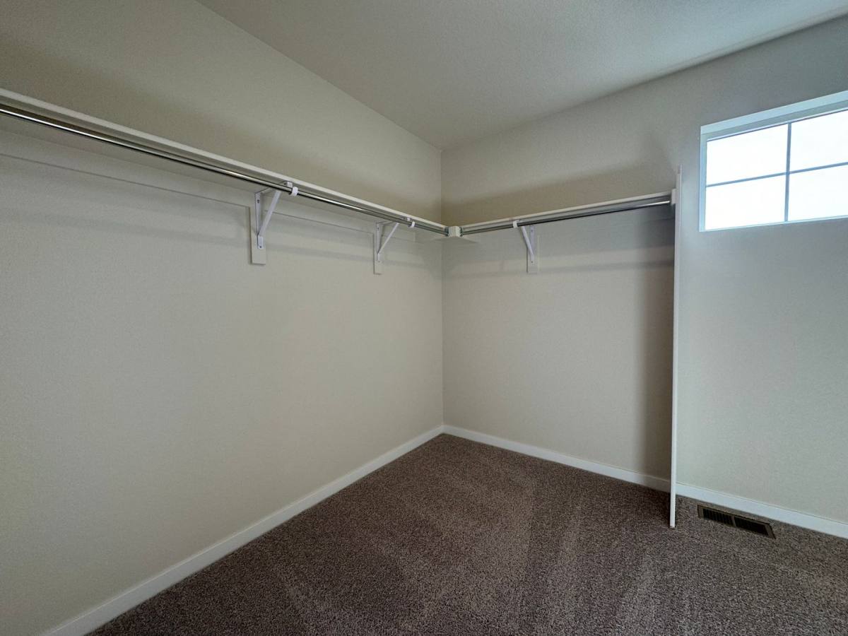 House for rent at 4455 Trader St, Timnath, CO 80547