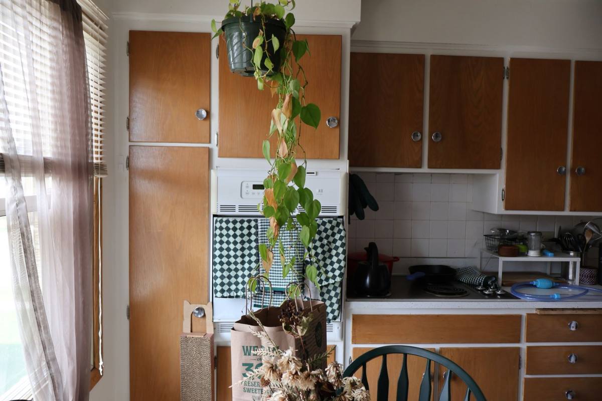Apartment for rent at 921 S Brooks St, Madison, WI 53715