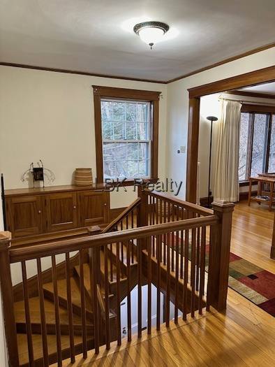 Apartment for rent at 67 Trowbridge, Newtonville, MA 02460