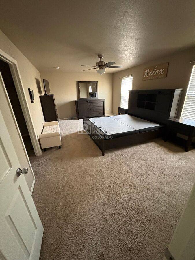 House for rent at 3657 Torch Lily St, Wellington, CO 80549