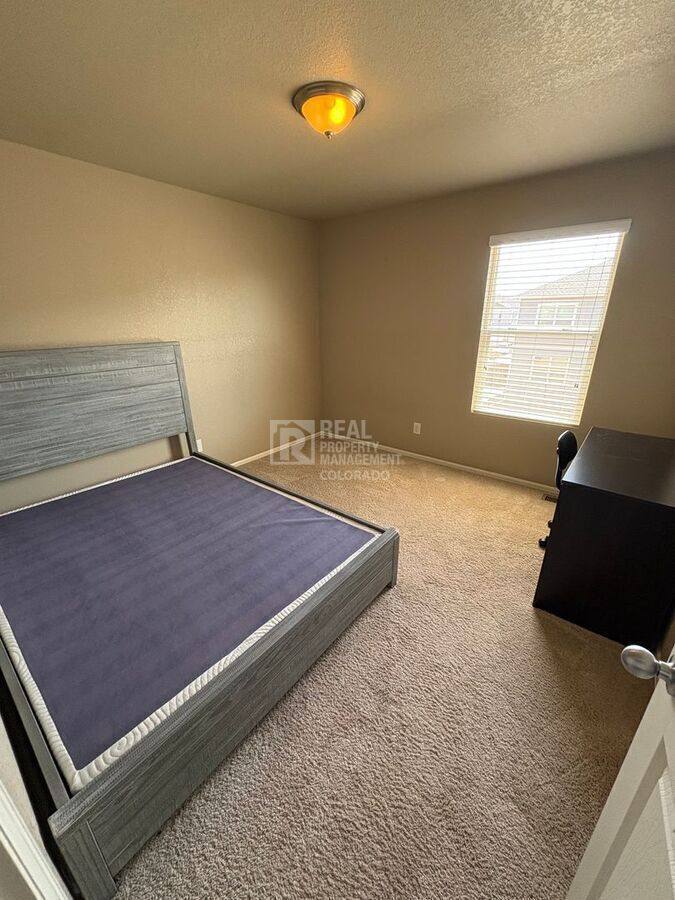 House for rent at 3657 Torch Lily St, Wellington, CO 80549