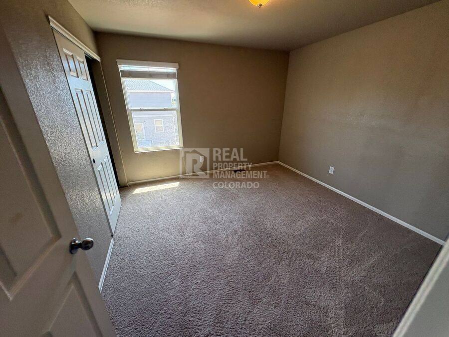 House for rent at 3657 Torch Lily St, Wellington, CO 80549