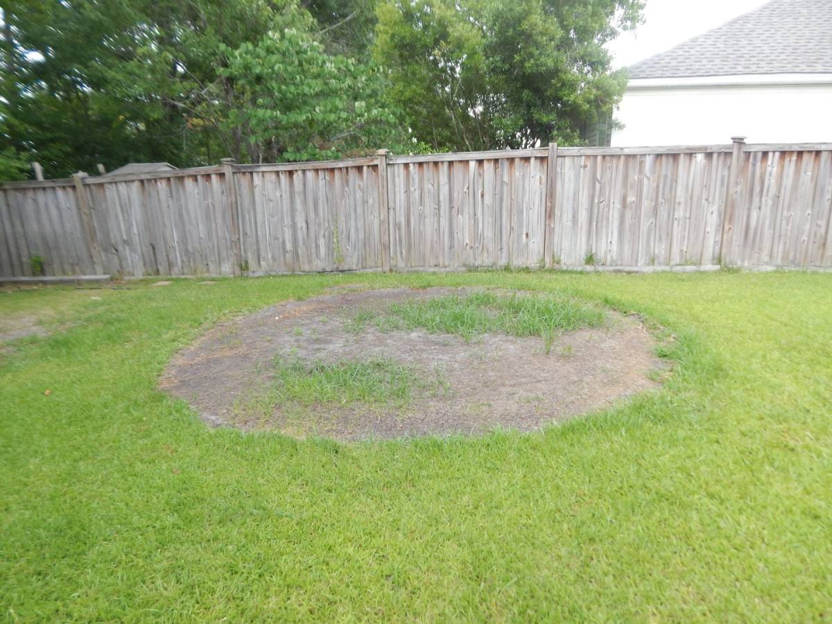 House for rent at 9410 Night Harbor Dr SE, Leland, NC 28451