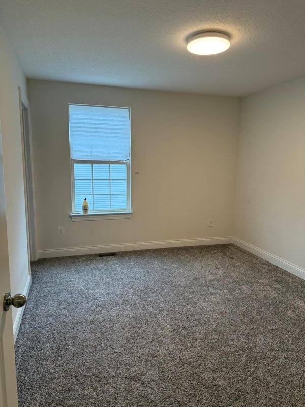 House for rent at 10054 Viburnum Dr, Plain City, OH 43064