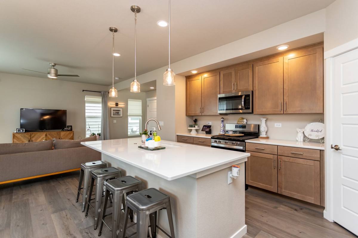 House for rent at 17698 Lemon Rye Loop, Monument, CO 80132