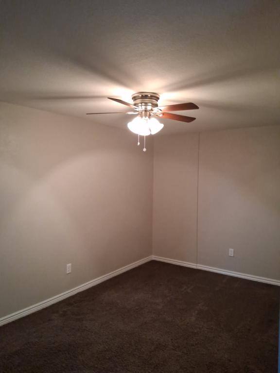 Apartment for rent at 1331 Merl Place #5, Longmont, CO 80501