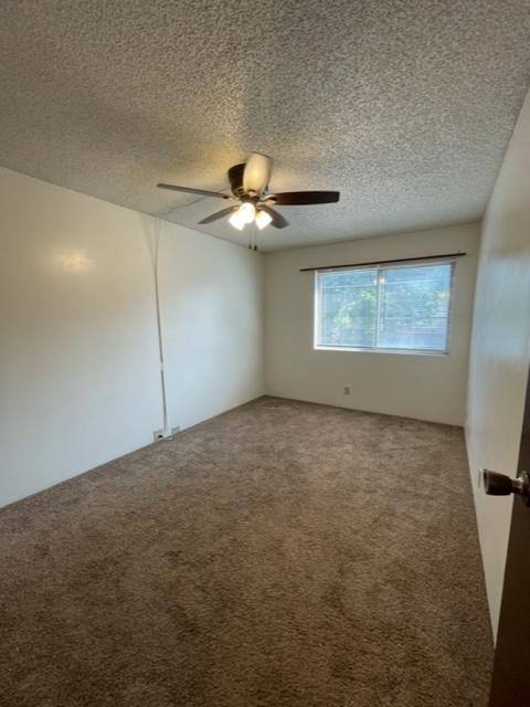 Apartment for rent at 1315 D St #8, Lincoln, NE 68502