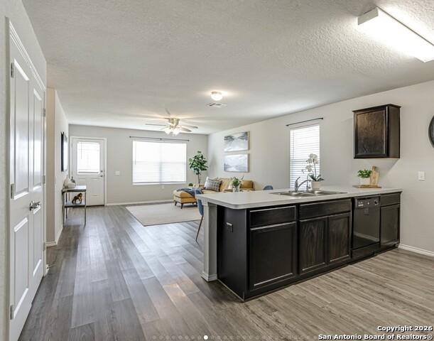 House for rent at 6903 Cozy Run, San Antonio, TX 78218
