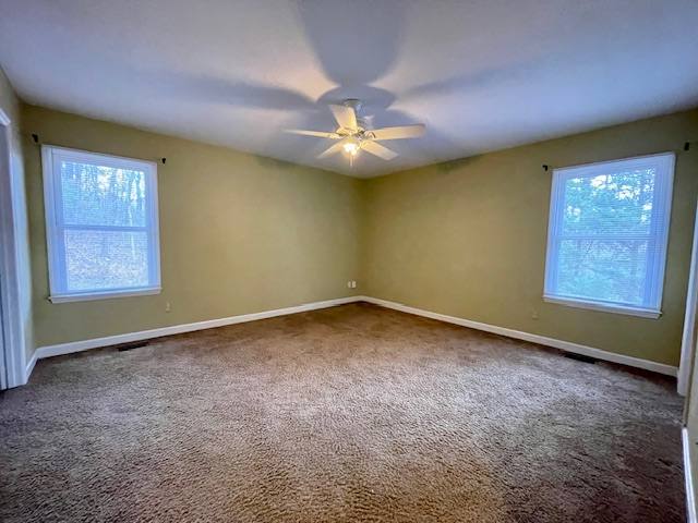 House for rent at 24 Morning Mist Lane, Asheville, NC 28805