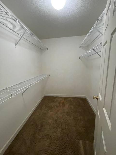 House for rent at 24 Morning Mist Lane, Asheville, NC 28805
