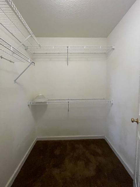 House for rent at 24 Morning Mist Lane, Asheville, NC 28805