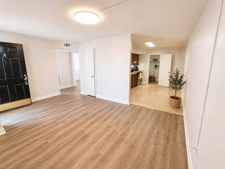 Condo for rent at 310 S Orleans Ave, Tampa, FL 33606