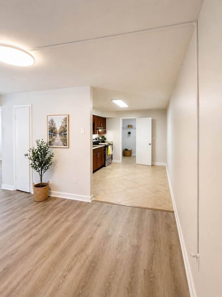 Condo for rent at 310 S Orleans Ave, Tampa, FL 33606