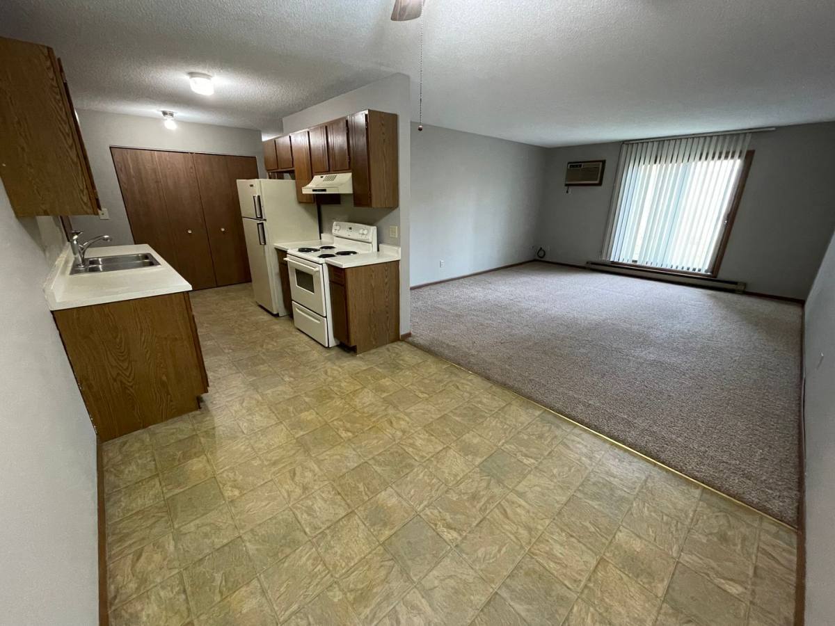 Apartment for rent at 1119 State St, River Falls, WI 54022