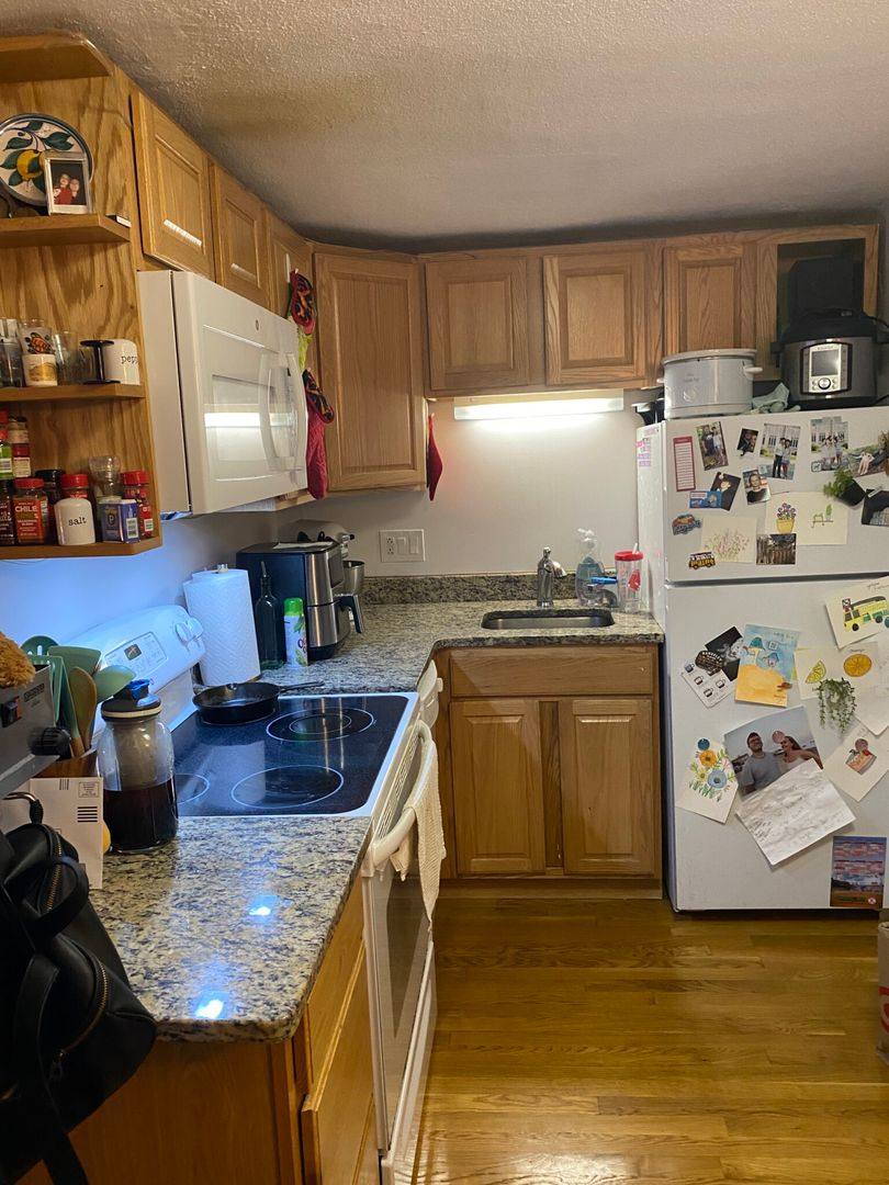 Condo for rent at 15 Euston Rd #20, Brighton, MA 02135