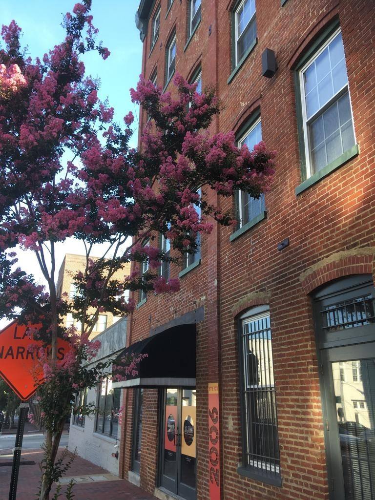 Apartment for rent at Cheroot, 2006 E Franklin St, Richmond, VA 23223