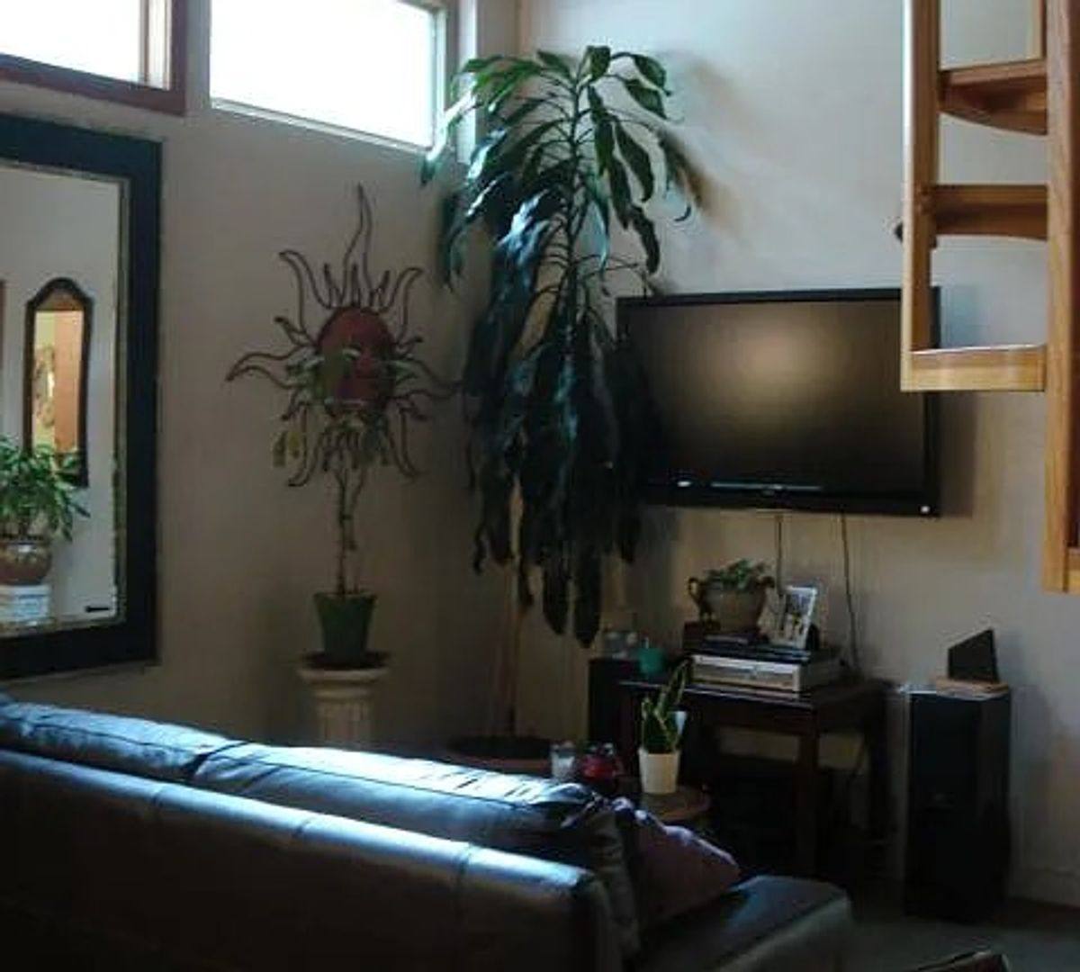 House for rent at 410 S Oregon St Cottage, Jacksonville, OR 97530