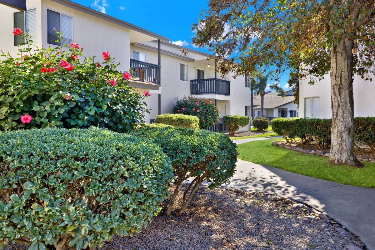 Apartment for rent at 1394 Oro Vista Rd, San Diego, CA 92154