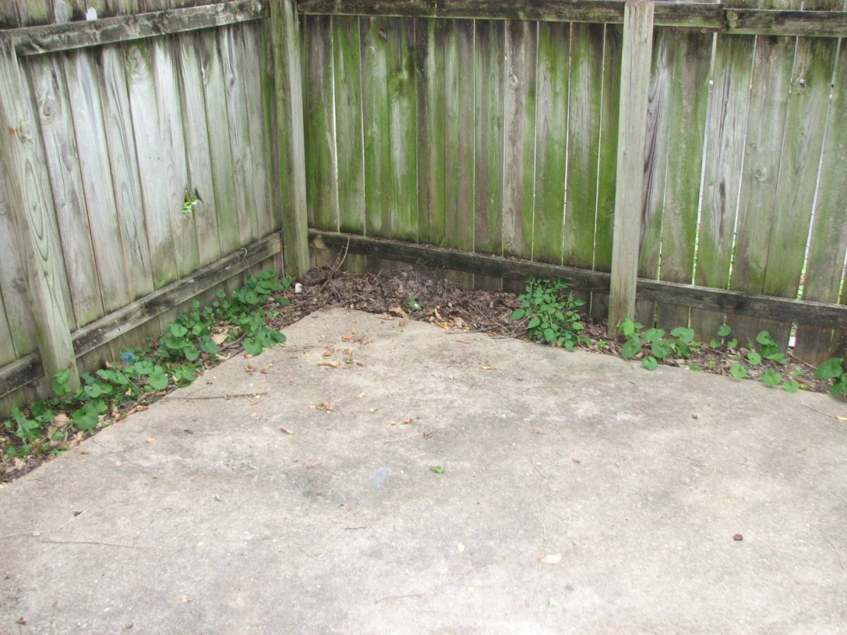 Apartment for rent at 1616 Anthony St #103, Columbia, MO 65201