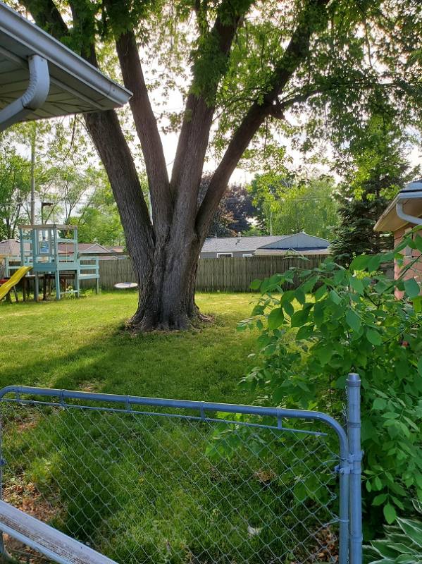 House for rent at 1163 Higgins Ave, Neenah, WI 54956