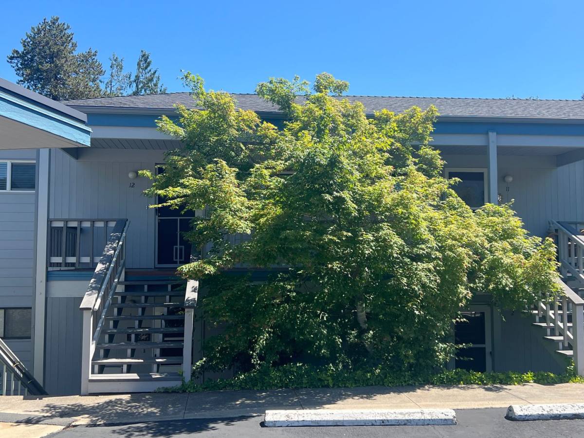 Apartment for rent at 854 Twin Pines Circle, Ashland, OR 97520