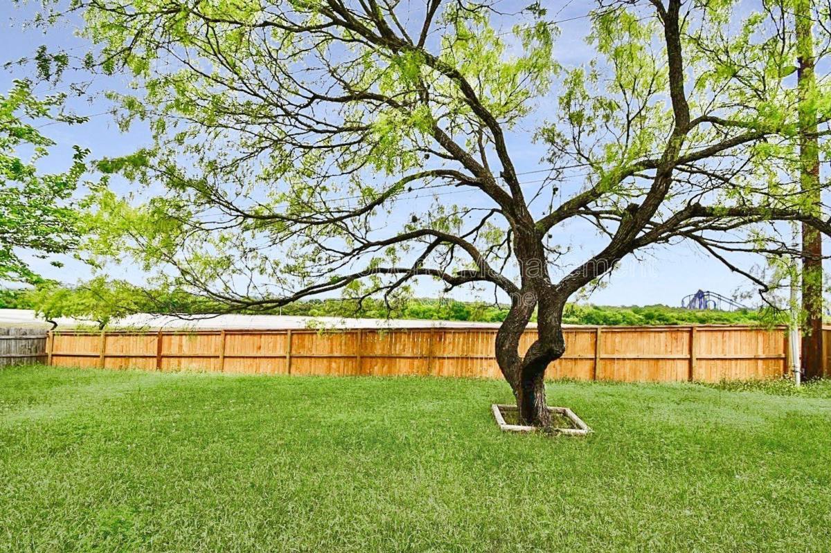 House for rent at 10527 Cub Haven, San Antonio, TX 78251