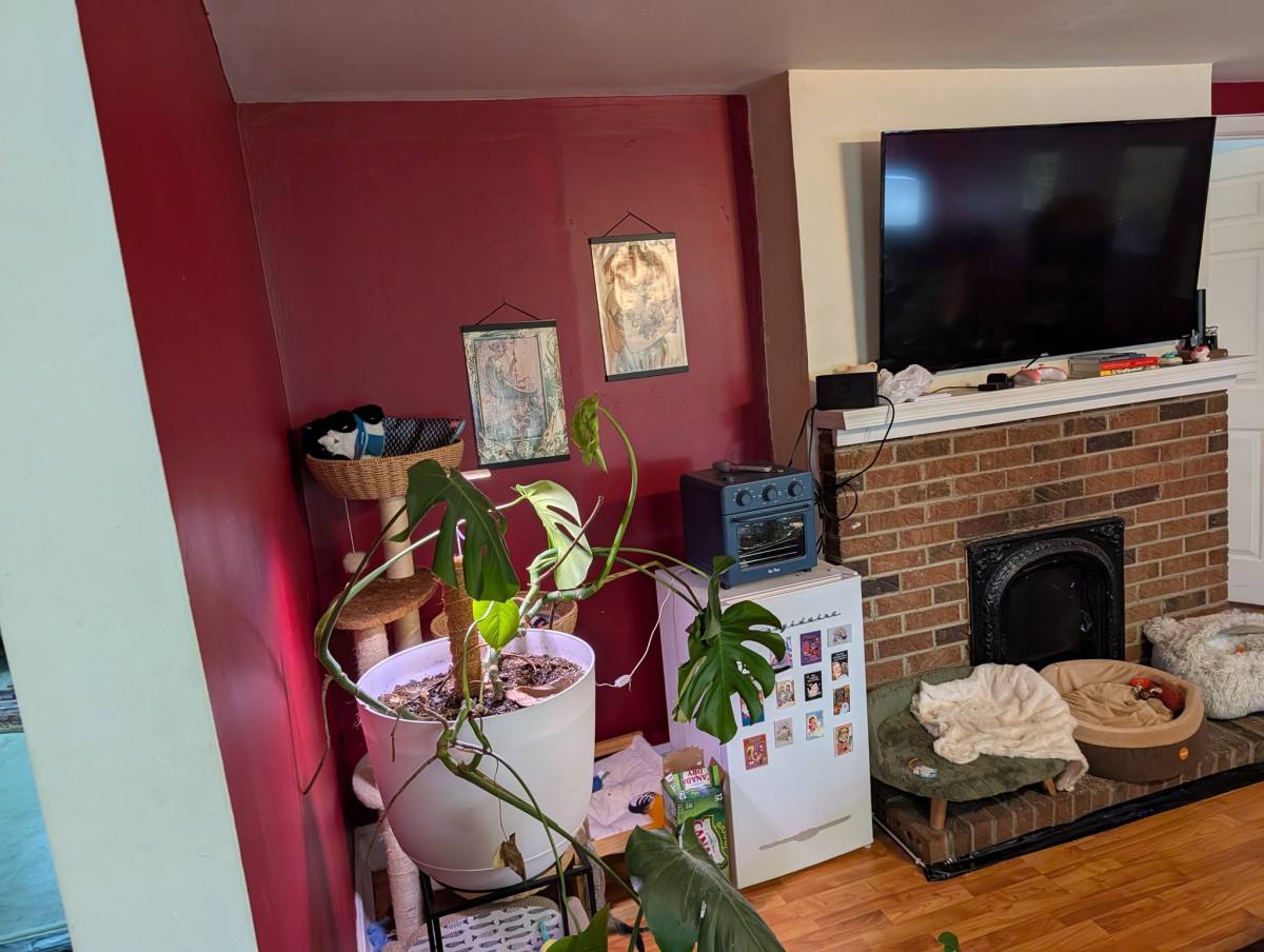 House for rent at 526 S Laurel St, Richmond, VA 23220
