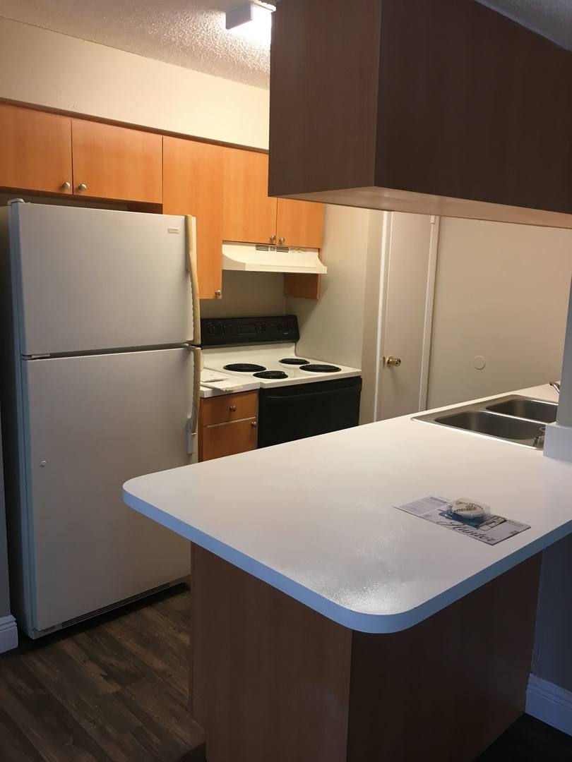 Condo for rent at 628 Golden Raintree Place, Brandon, FL 33510