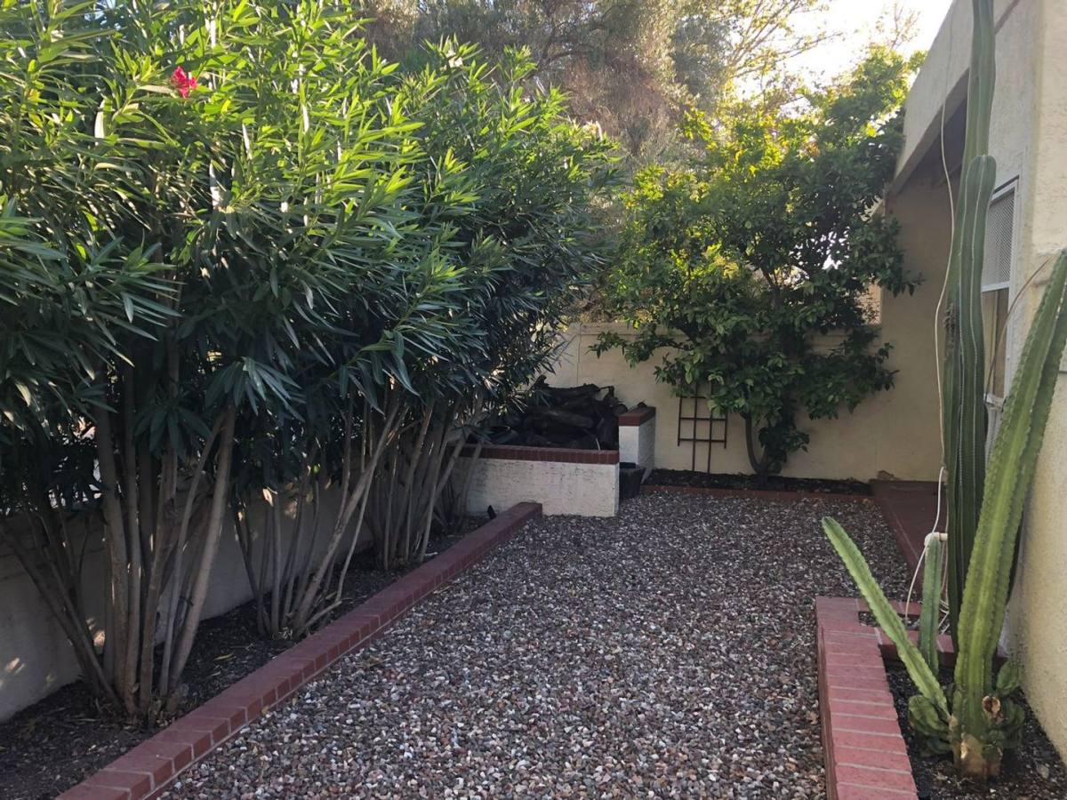 House for rent at 2530 E Forgues Place, Tucson, AZ 85716