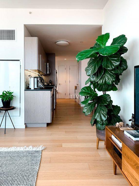Apartment for rent at 250 Ashland Place, Brooklyn, NY 11217