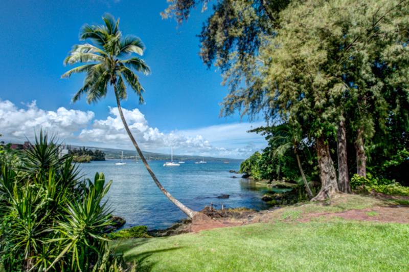 Apartment for rent at 355 Kalanianaole Ave #333, Hilo, HI 96720