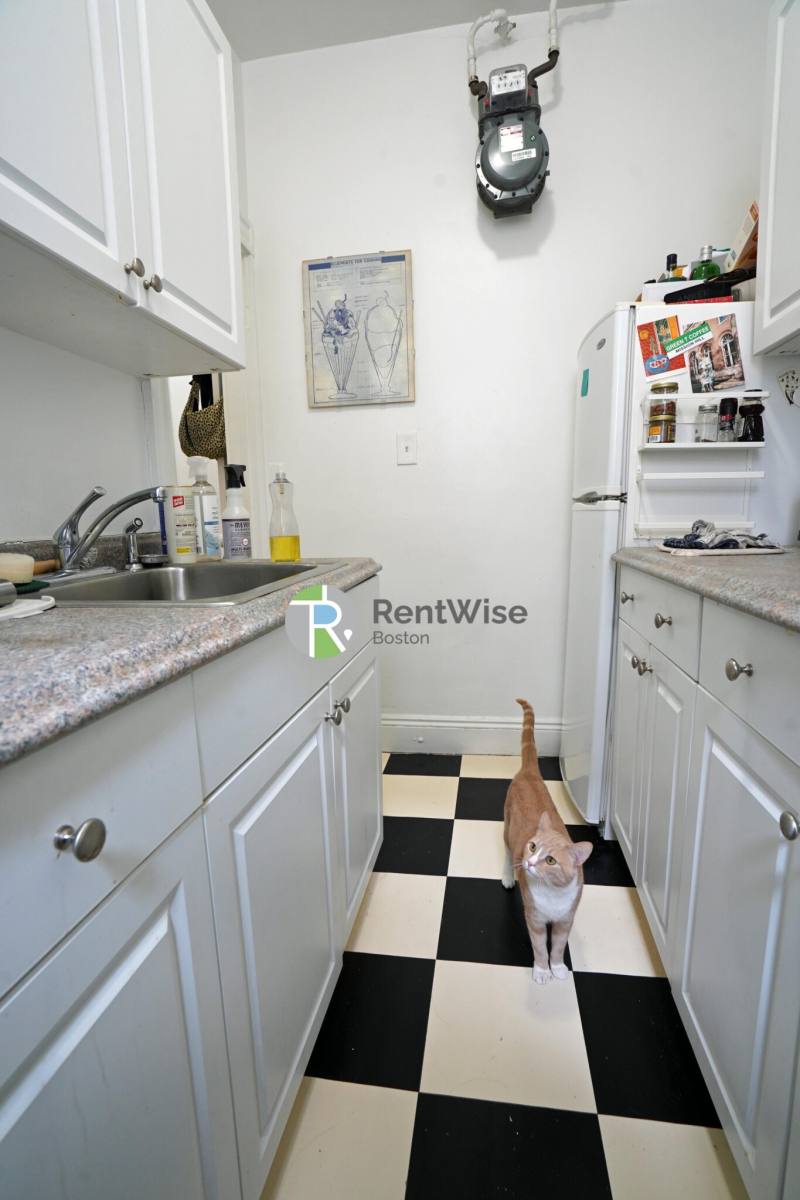 Apartment for rent at 14 Orkney Rd #32, Brighton, MA 02135